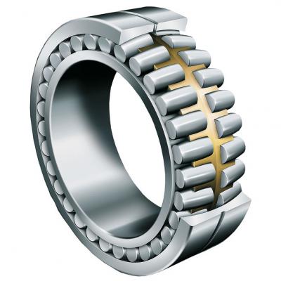 Cylinder Roller Bearing Double Row