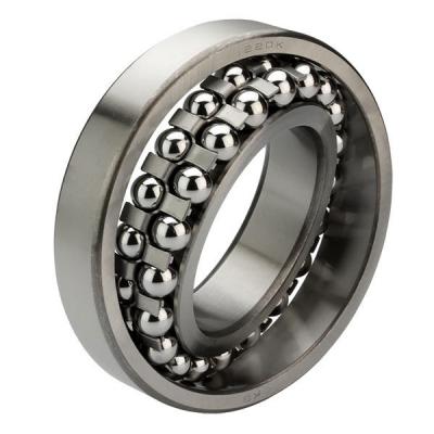Self Allign Bearing