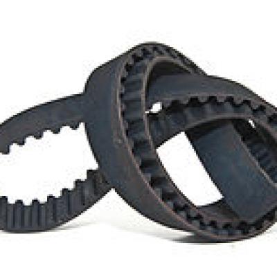 Tooth Belt