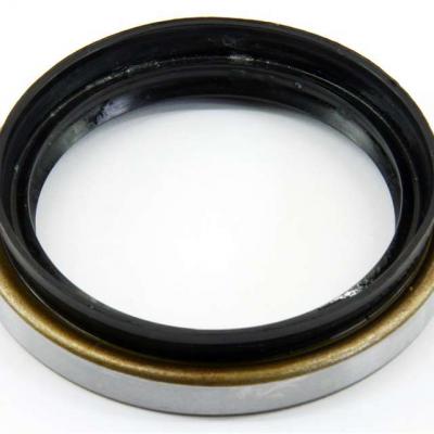 Tb Oil Seals 2 Lips Metal