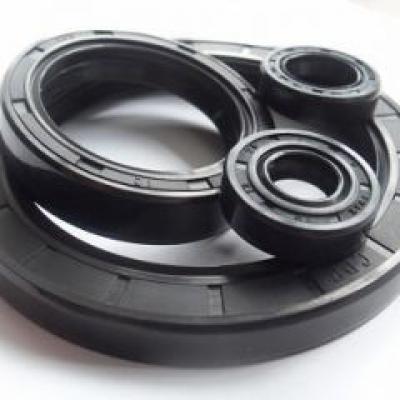 Tc Oil Seals